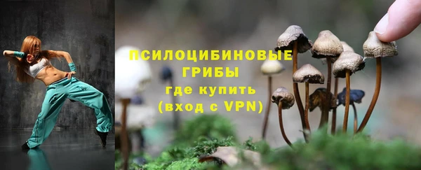 ешки Алексин