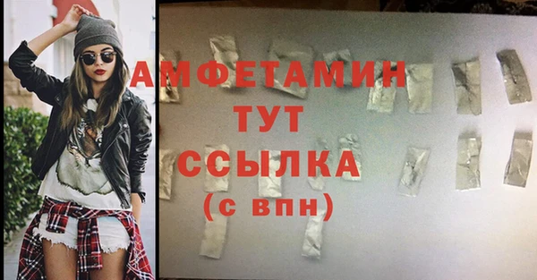молекула духа Вяземский