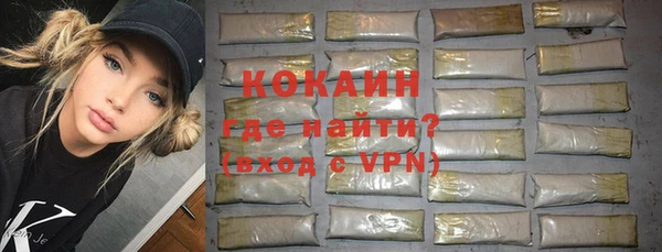 крисы Алзамай