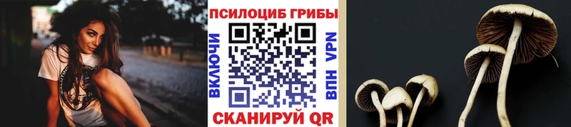 сколько стоит  KRAKEN ссылки  Галлюциногенные грибы Psilocybe  Протвино 